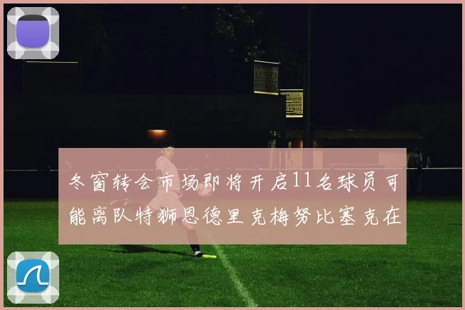 冬窗转会市场即将开启11名球员可能离队特狮恩德里克梅努比塞克在列