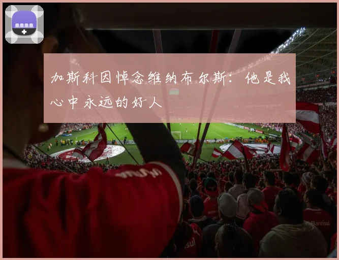 加斯科因悼念维纳布尔斯：他是我心中永远的好人