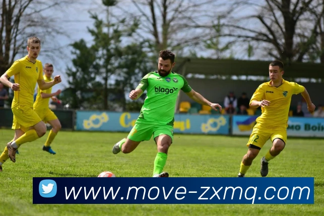 在线买球网站APP 封面图